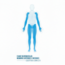 Eletroneuromiografia - 4 Membros Completo