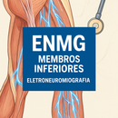 ENMG MMII Membros INFERIORES - Eletroneuromiografia em Ipatinga